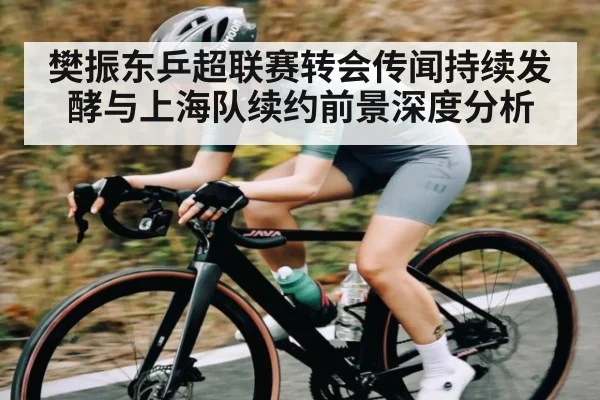 樊振东乒超联赛转会传闻持续发酵与上海队续约前景深度分析
